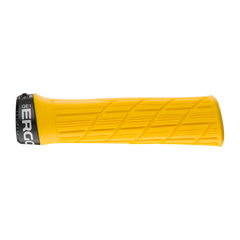 GE1 Evo
